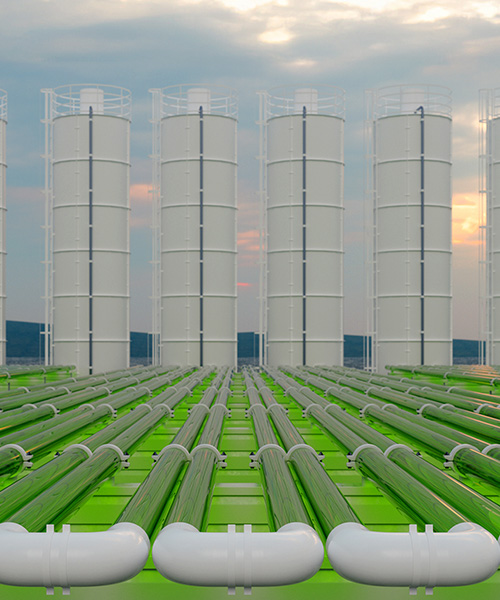 Tubular algae bioreactors capturing CO2 with rows of storage tanks.